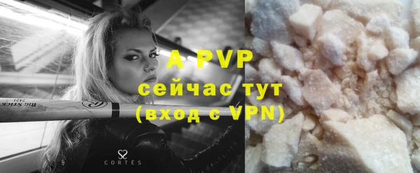 соль ск Арсеньев