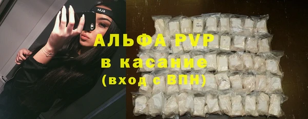 apvp Алзамай