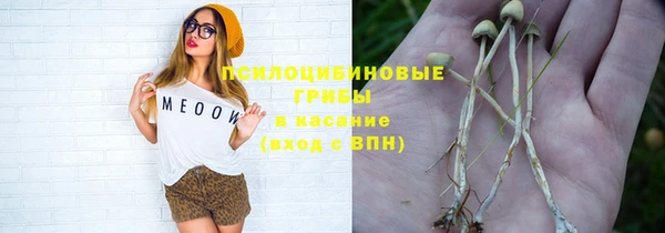 соль ск Арсеньев