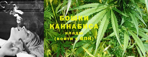 соль ск Арсеньев