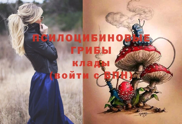 прущие крисы Армянск