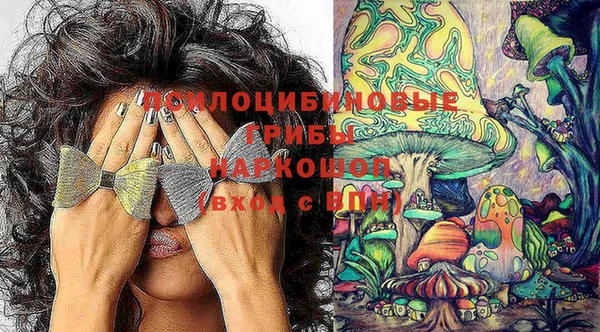apvp Алзамай